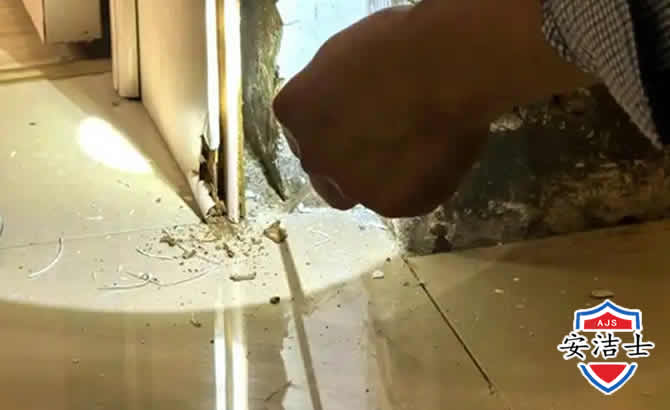 桐庐房屋建筑防治白蚁