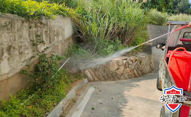 桐庐道路堤坝白蚁防治