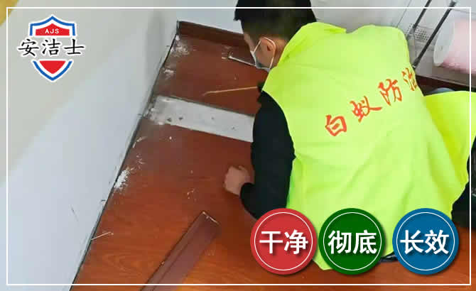 桐庐除四害现场