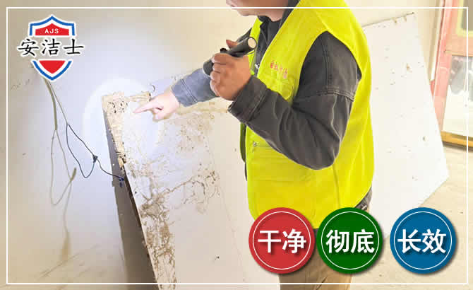 桐庐除白蚁现场