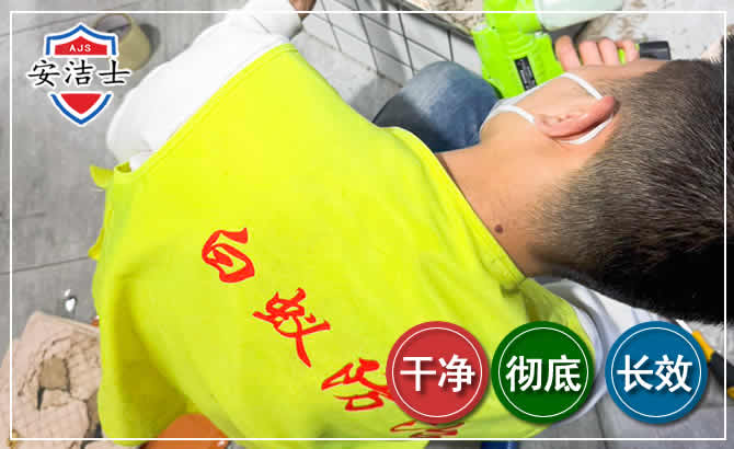 桐庐白蚁根治现场